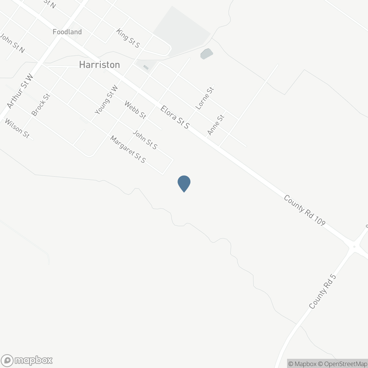 113 BEAN STREET, Minto, Ontario N0G 1Z0